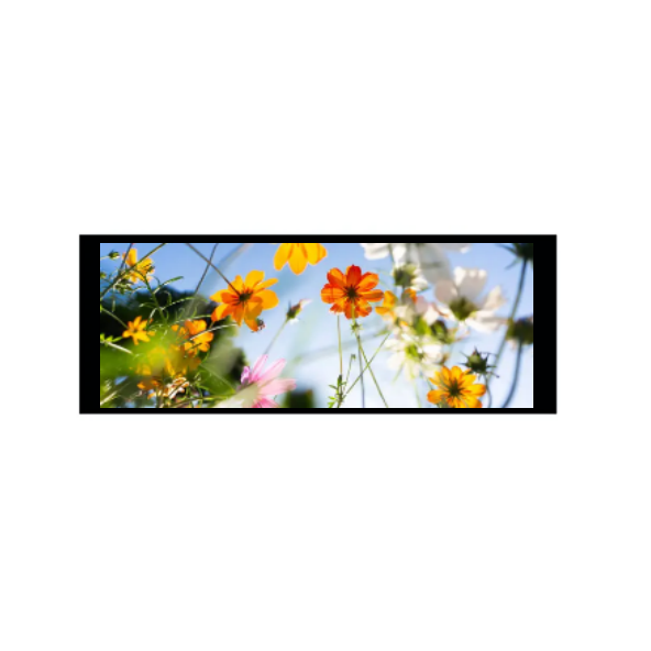 6,86 tum 480 × 1280 IPS TFT -modul