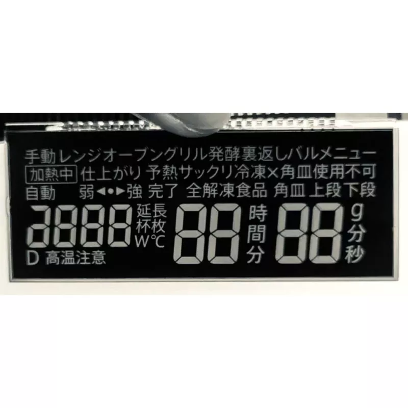VA -segment LCD -modul